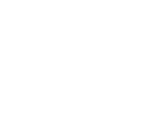 Logo-triotech-Burst+Name_white - Copy